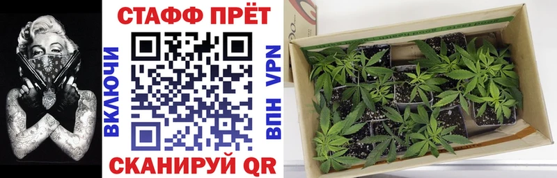 КОКАИН Томмот